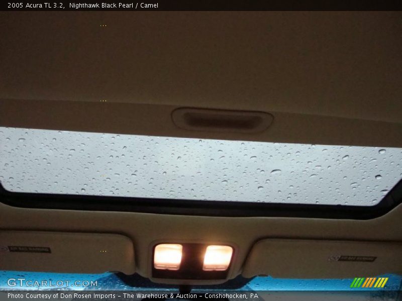 Nighthawk Black Pearl / Camel 2005 Acura TL 3.2