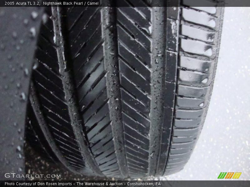 Nighthawk Black Pearl / Camel 2005 Acura TL 3.2
