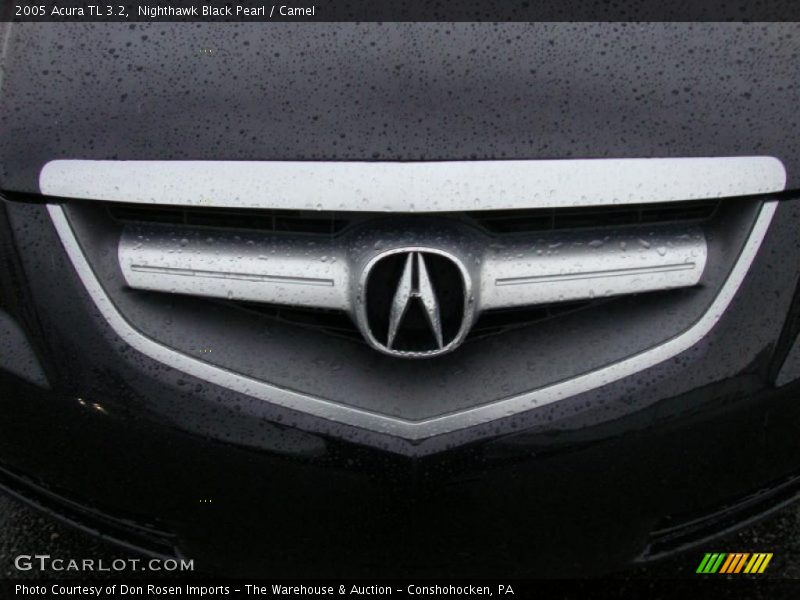 Nighthawk Black Pearl / Camel 2005 Acura TL 3.2