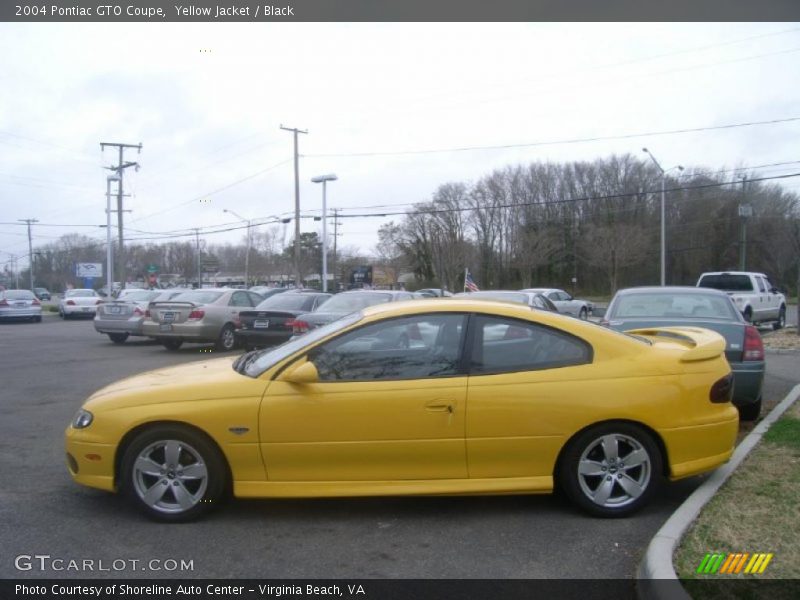 Yellow Jacket / Black 2004 Pontiac GTO Coupe