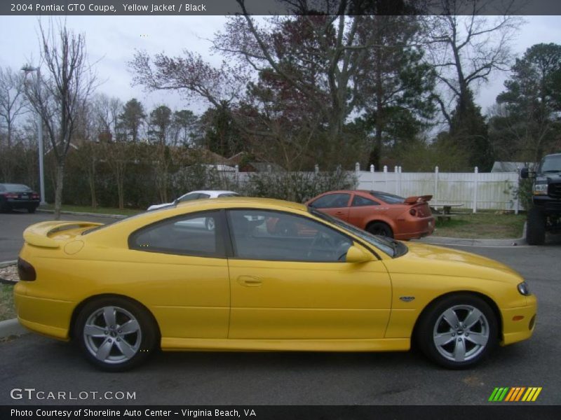 Yellow Jacket / Black 2004 Pontiac GTO Coupe