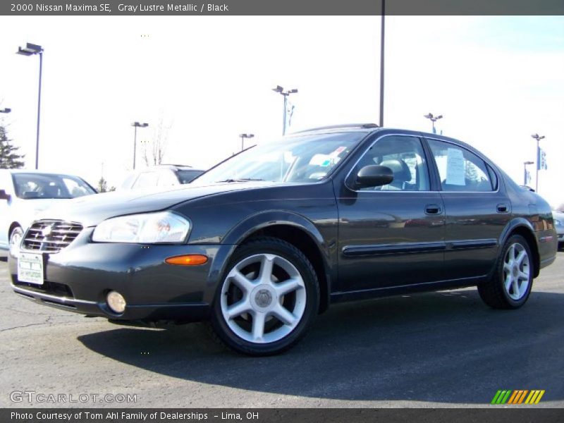Gray Lustre Metallic / Black 2000 Nissan Maxima SE