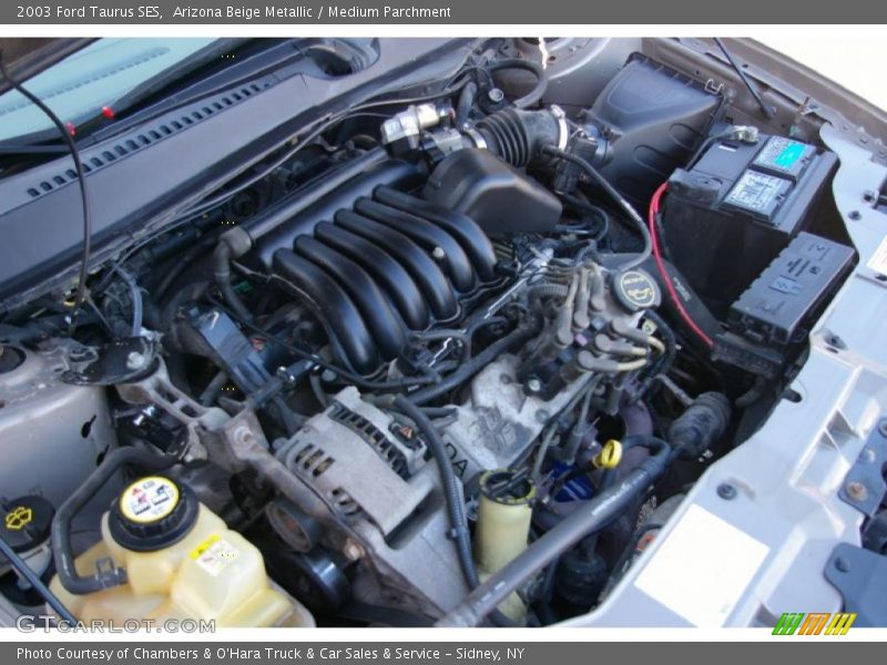 Arizona Beige Metallic / Medium Parchment 2003 Ford Taurus SES