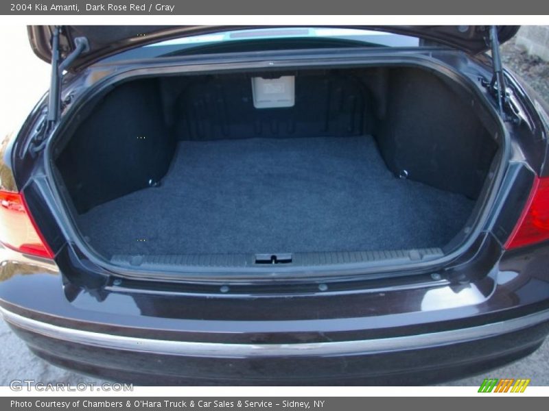 Dark Rose Red / Gray 2004 Kia Amanti