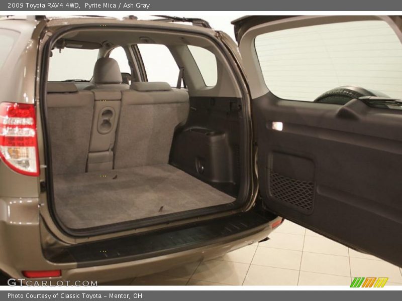 Pyrite Mica / Ash Gray 2009 Toyota RAV4 4WD