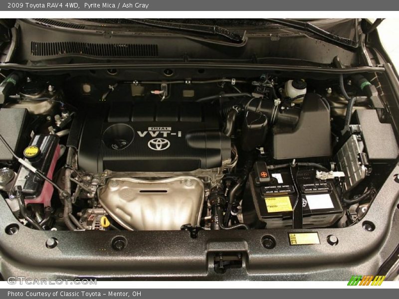 Pyrite Mica / Ash Gray 2009 Toyota RAV4 4WD