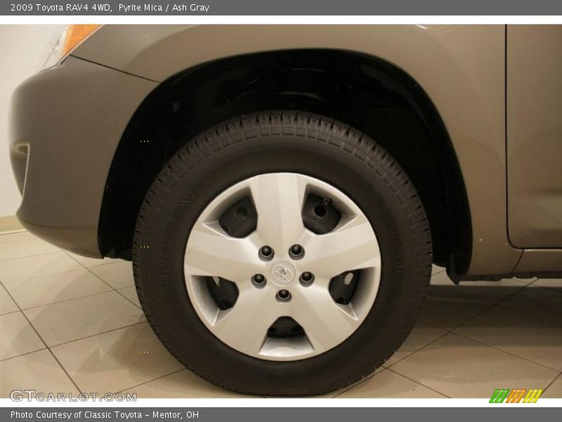 Pyrite Mica / Ash Gray 2009 Toyota RAV4 4WD