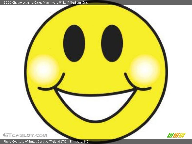 Ivory White / Medium Gray 2000 Chevrolet Astro Cargo Van