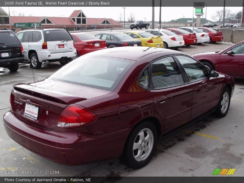 Merlot Pearl Clearcoat / Ebony Black 2005 Ford Taurus SE