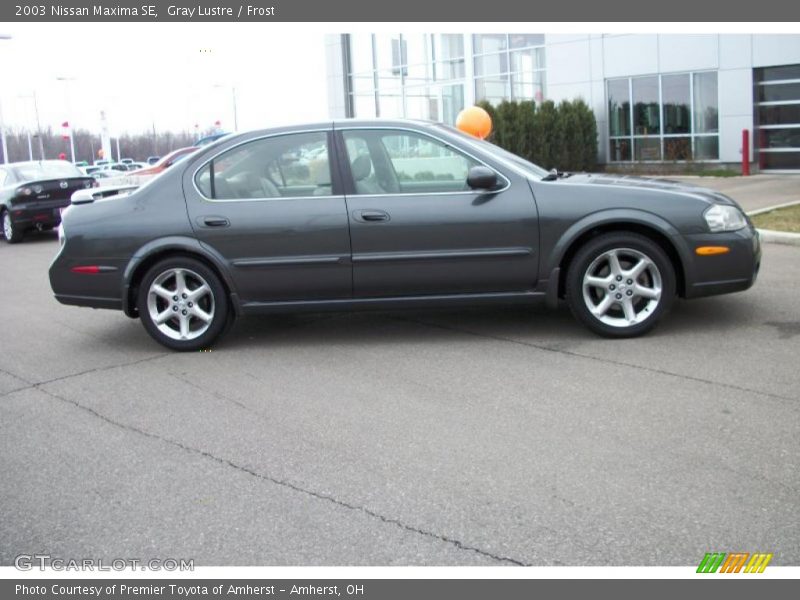 Gray Lustre / Frost 2003 Nissan Maxima SE