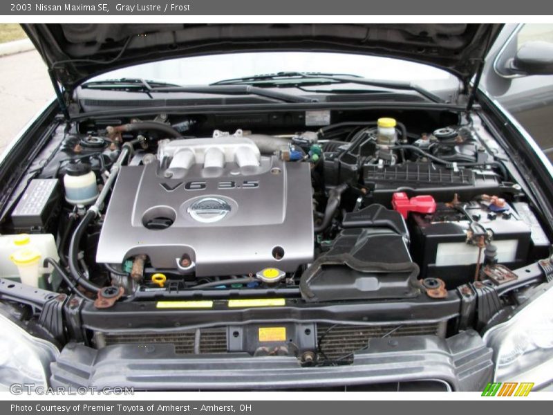 Gray Lustre / Frost 2003 Nissan Maxima SE