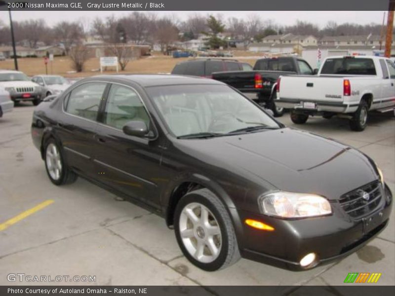 Gray Lustre Metallic / Black 2000 Nissan Maxima GLE