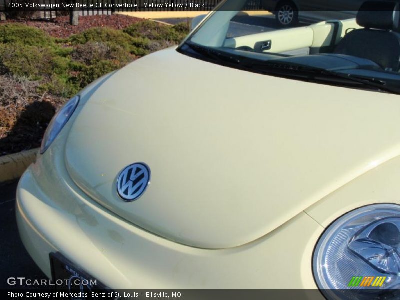 Mellow Yellow / Black 2005 Volkswagen New Beetle GL Convertible