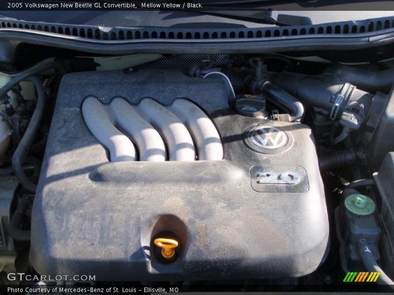Mellow Yellow / Black 2005 Volkswagen New Beetle GL Convertible