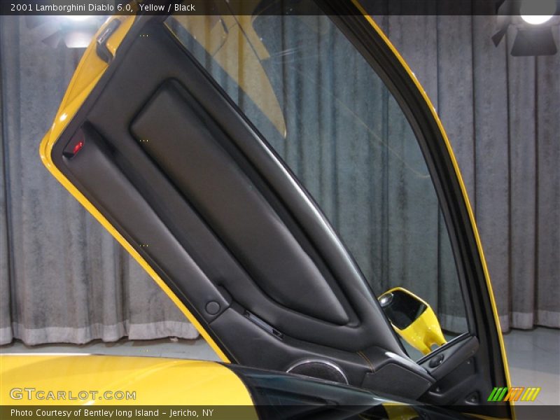 Door Panel of 2001 Diablo 6.0