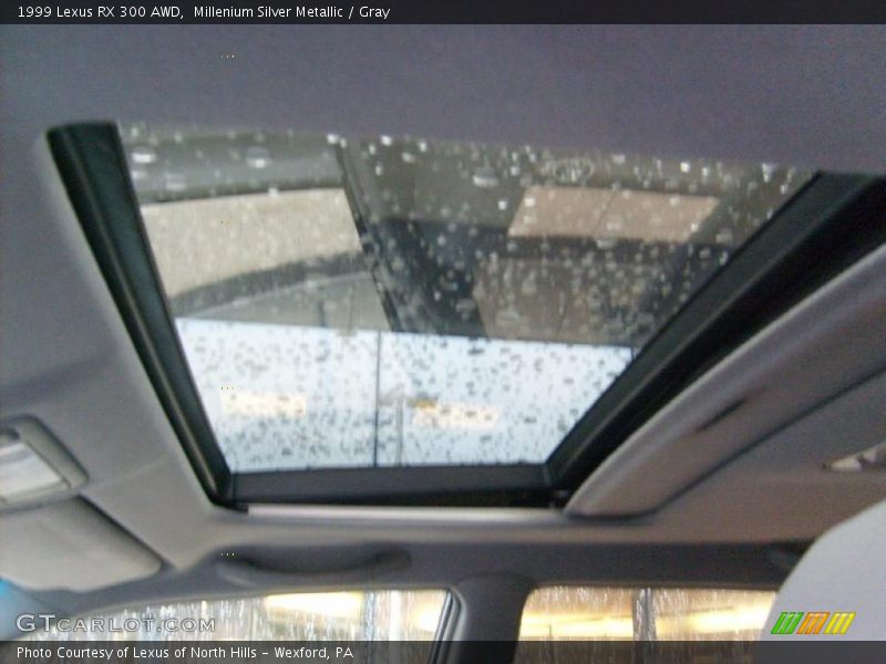 Millenium Silver Metallic / Gray 1999 Lexus RX 300 AWD