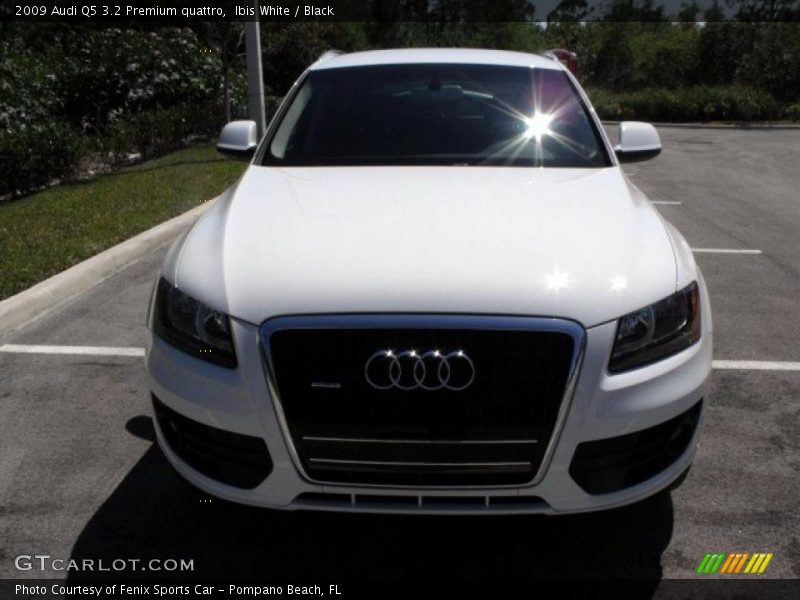 Ibis White / Black 2009 Audi Q5 3.2 Premium quattro