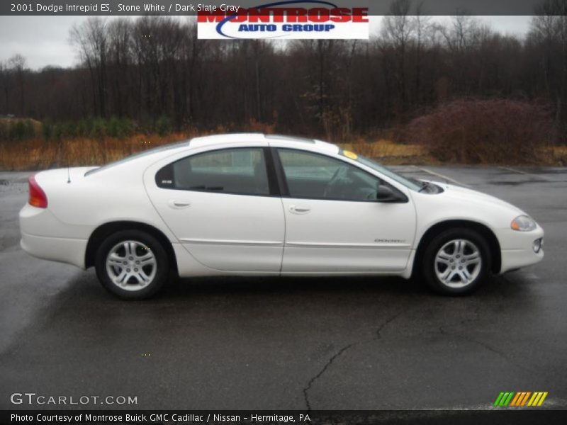 Stone White / Dark Slate Gray 2001 Dodge Intrepid ES