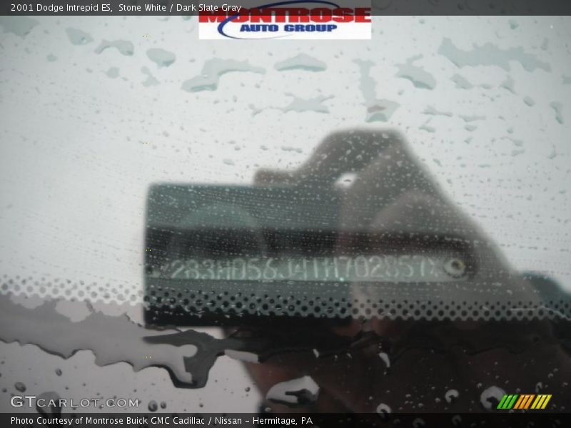 Stone White / Dark Slate Gray 2001 Dodge Intrepid ES
