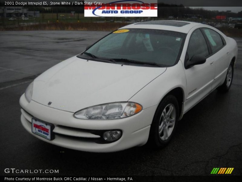 Stone White / Dark Slate Gray 2001 Dodge Intrepid ES