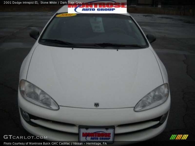 Stone White / Dark Slate Gray 2001 Dodge Intrepid ES