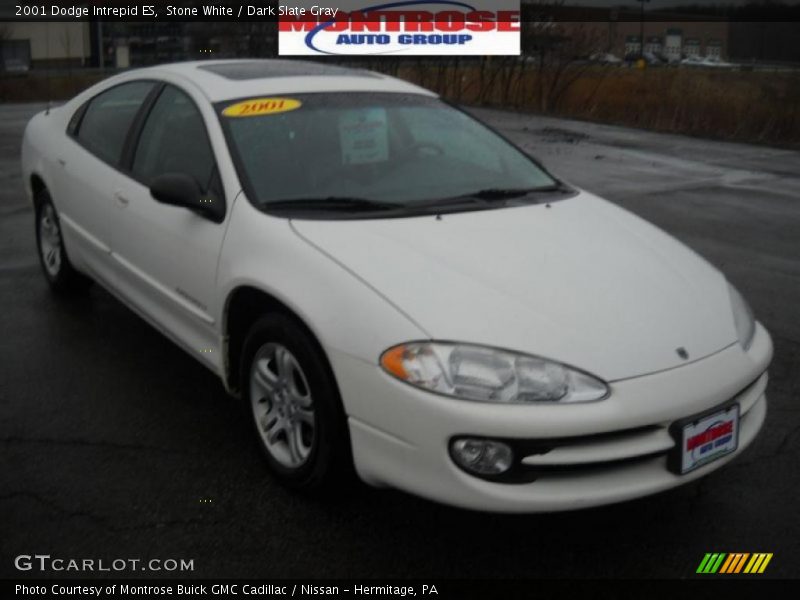 Stone White / Dark Slate Gray 2001 Dodge Intrepid ES