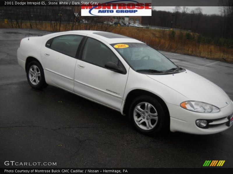 Stone White / Dark Slate Gray 2001 Dodge Intrepid ES
