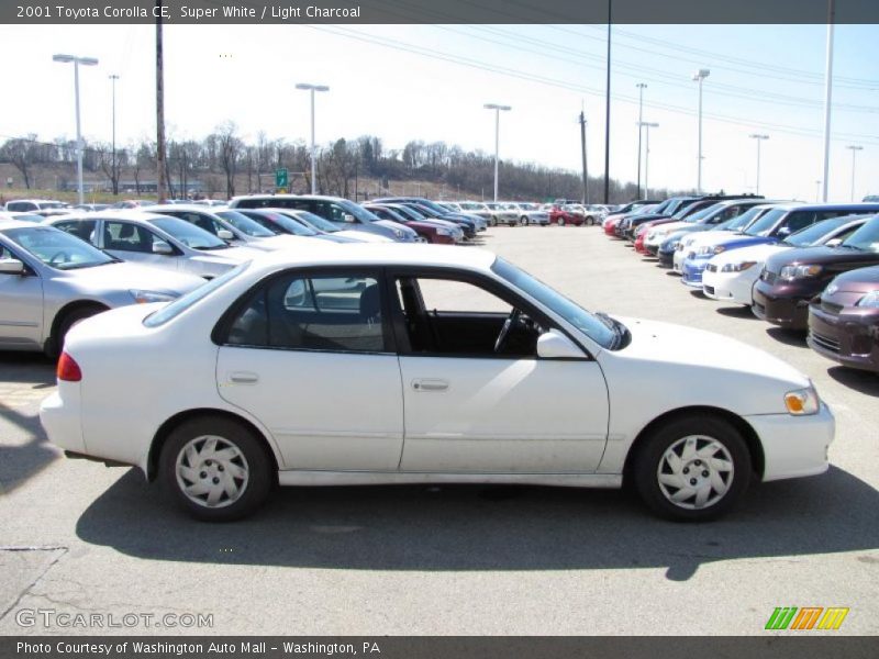 Super White / Light Charcoal 2001 Toyota Corolla CE