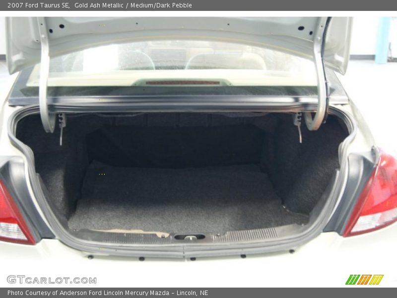 Gold Ash Metallic / Medium/Dark Pebble 2007 Ford Taurus SE