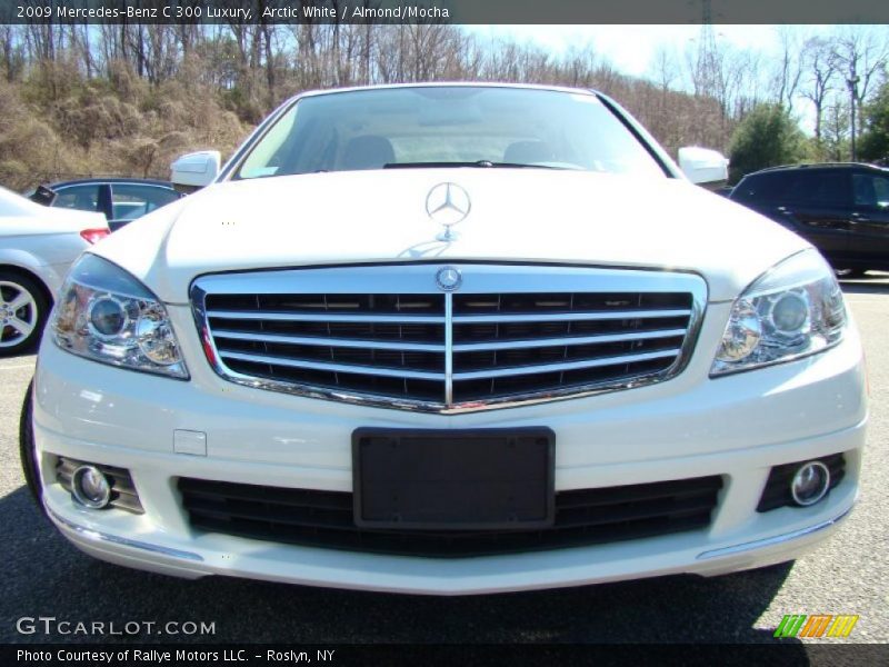 Arctic White / Almond/Mocha 2009 Mercedes-Benz C 300 Luxury