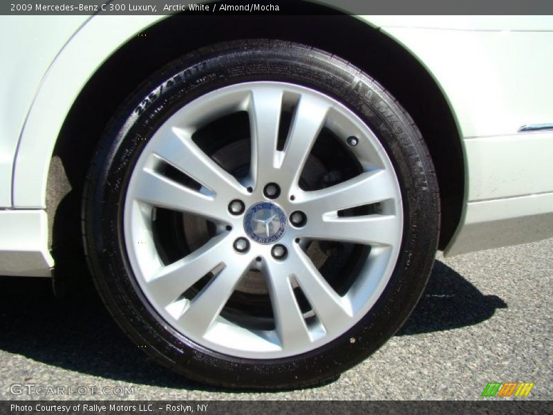 Arctic White / Almond/Mocha 2009 Mercedes-Benz C 300 Luxury
