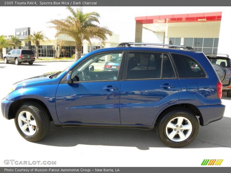 Spectra Blue Mica / Dark Charcoal 2005 Toyota RAV4