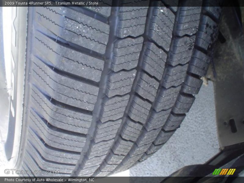 Titanium Metallic / Stone 2009 Toyota 4Runner SR5