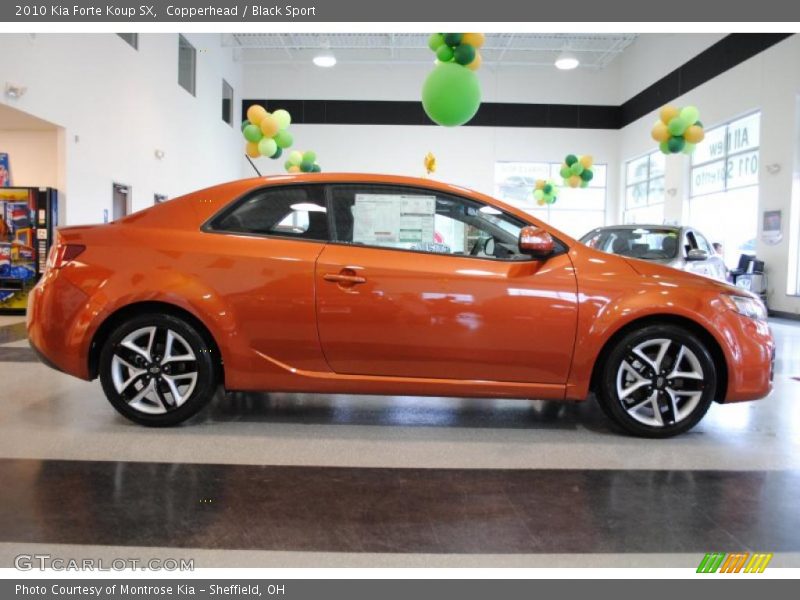 Copperhead / Black Sport 2010 Kia Forte Koup SX