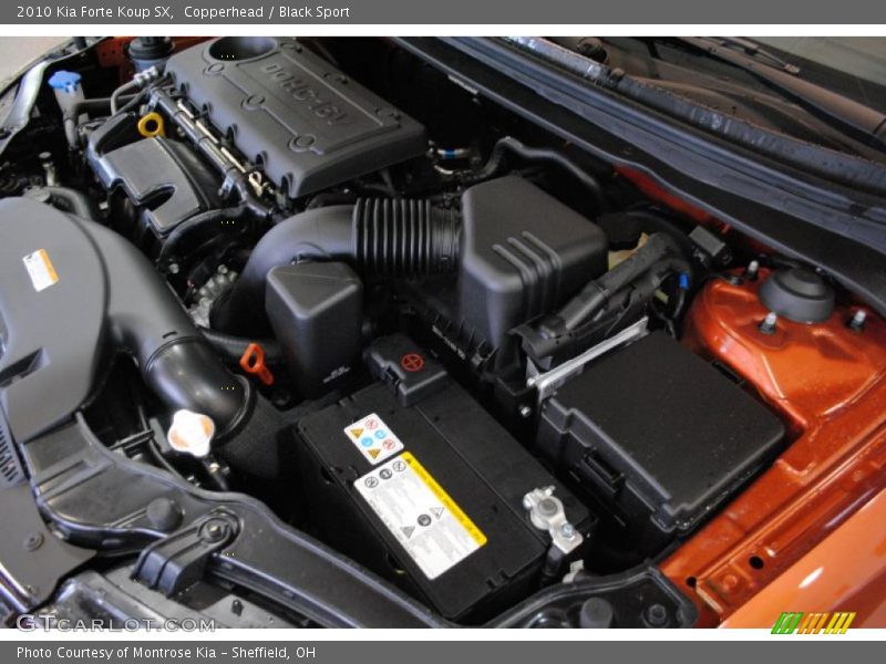 Copperhead / Black Sport 2010 Kia Forte Koup SX