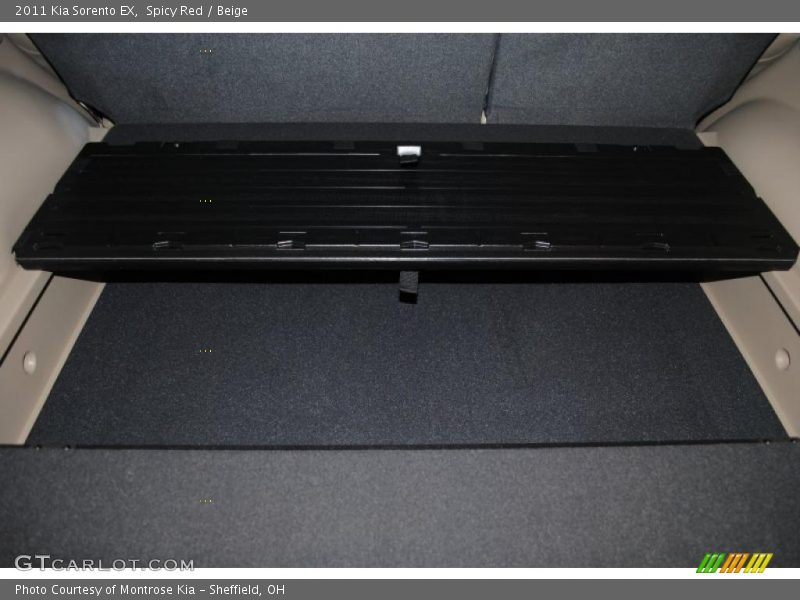 Spicy Red / Beige 2011 Kia Sorento EX