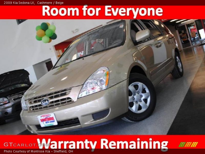 Cashmere / Beige 2009 Kia Sedona LX