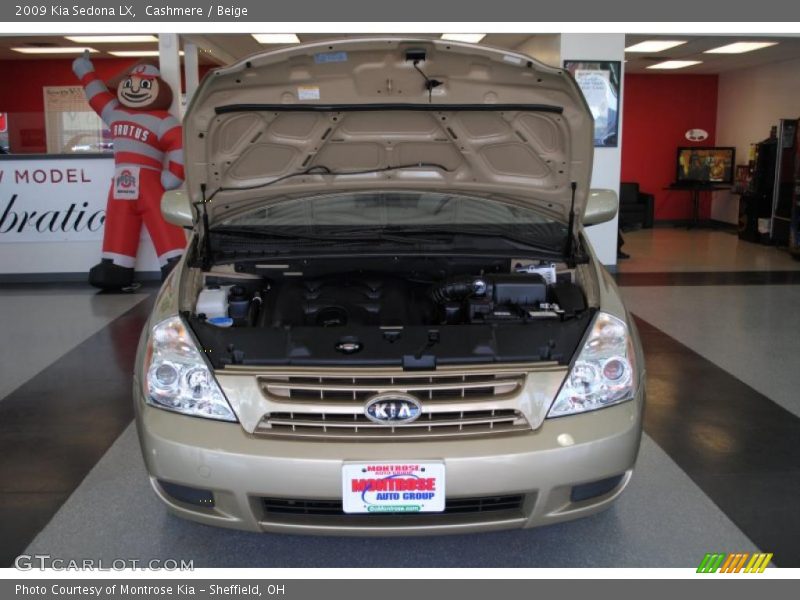 Cashmere / Beige 2009 Kia Sedona LX
