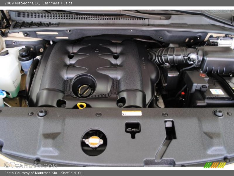 Cashmere / Beige 2009 Kia Sedona LX
