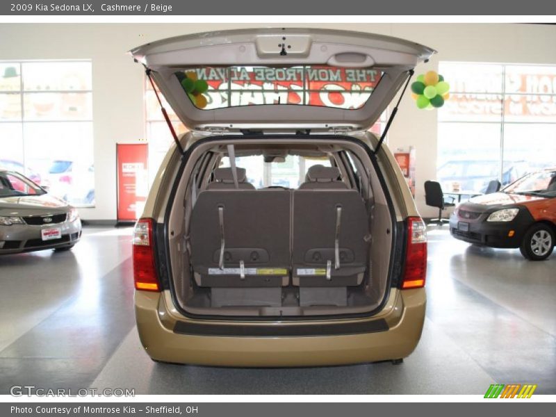 Cashmere / Beige 2009 Kia Sedona LX
