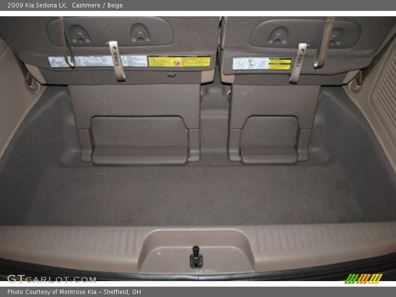 Cashmere / Beige 2009 Kia Sedona LX