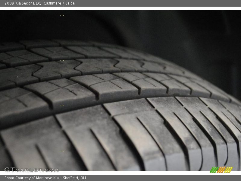 Cashmere / Beige 2009 Kia Sedona LX