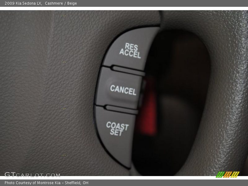 Cashmere / Beige 2009 Kia Sedona LX