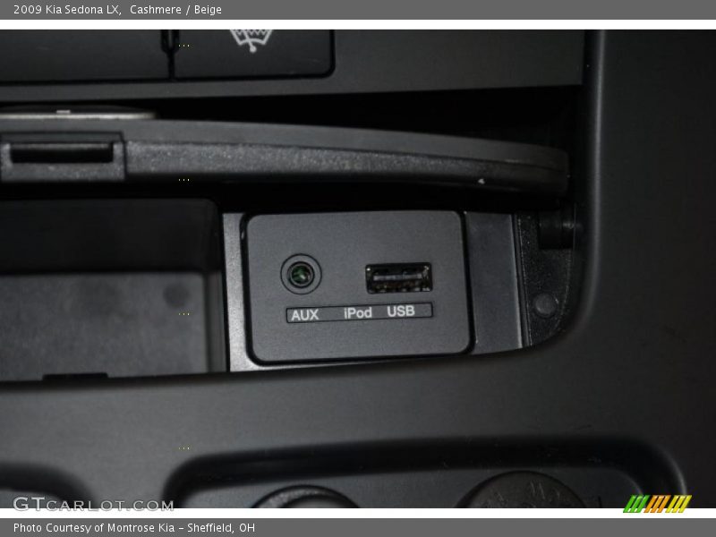 Cashmere / Beige 2009 Kia Sedona LX