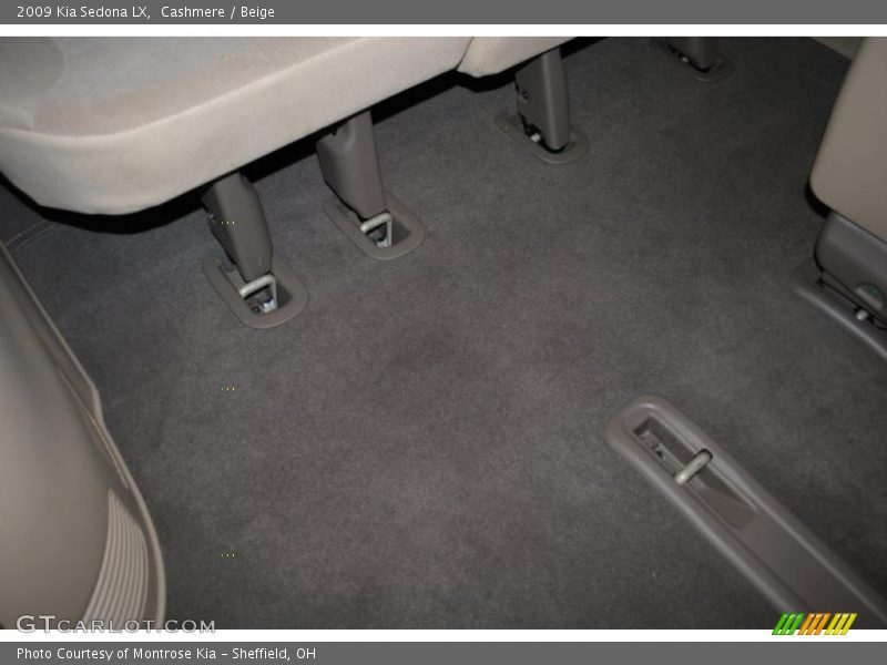 Cashmere / Beige 2009 Kia Sedona LX