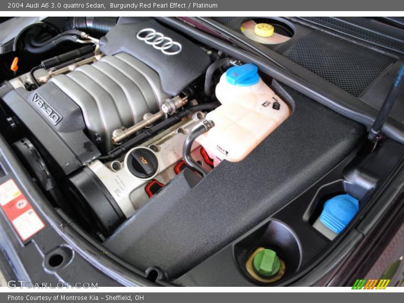 Burgundy Red Pearl Effect / Platinum 2004 Audi A6 3.0 quattro Sedan