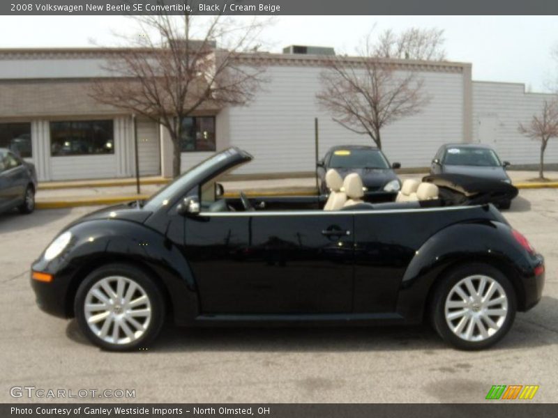 Black / Cream Beige 2008 Volkswagen New Beetle SE Convertible