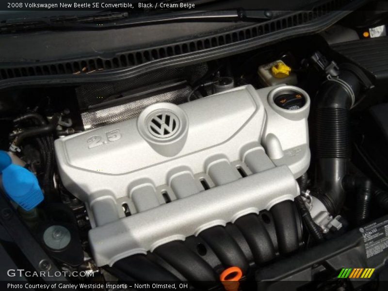 Black / Cream Beige 2008 Volkswagen New Beetle SE Convertible