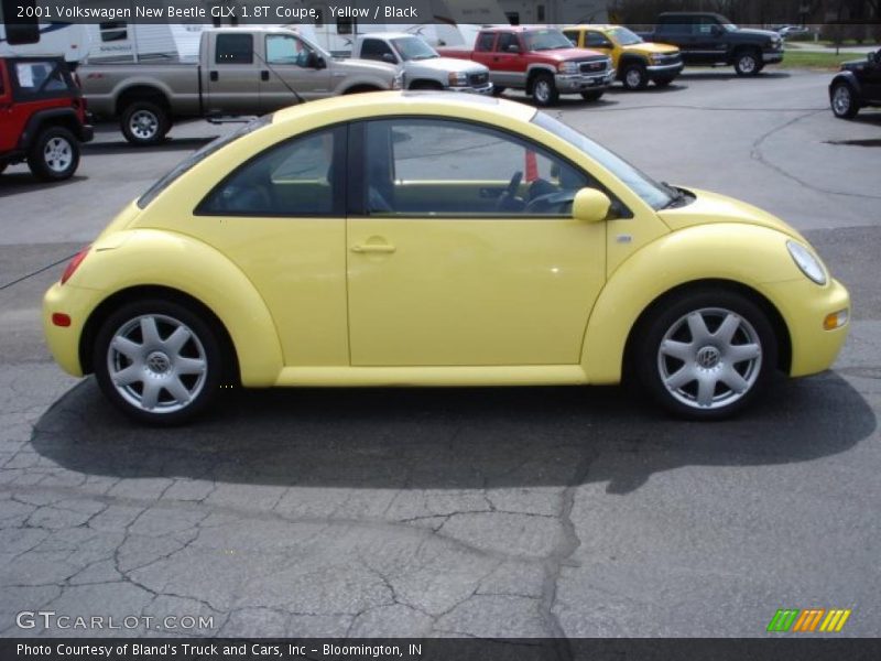 Yellow / Black 2001 Volkswagen New Beetle GLX 1.8T Coupe