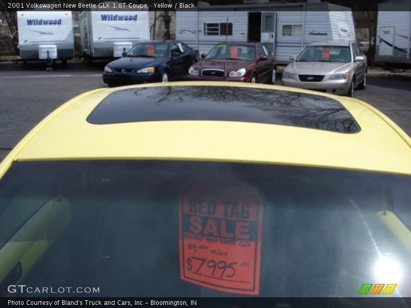 Yellow / Black 2001 Volkswagen New Beetle GLX 1.8T Coupe